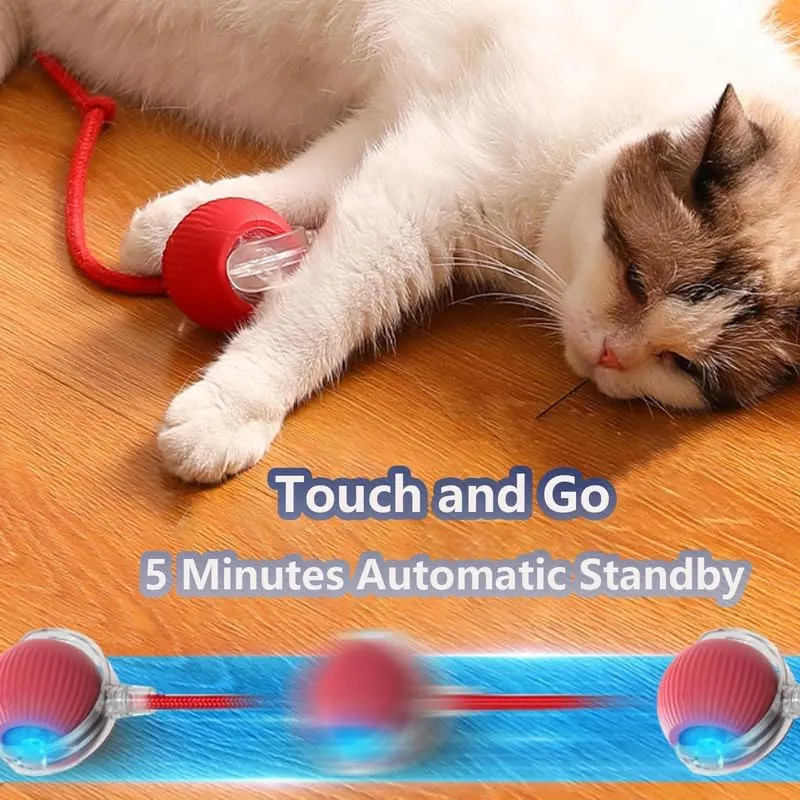 2025 New Interactive Cat Toys Balls,Automatic Moving Cat Balls, Cat Toys for Bored Indoor CatsRed