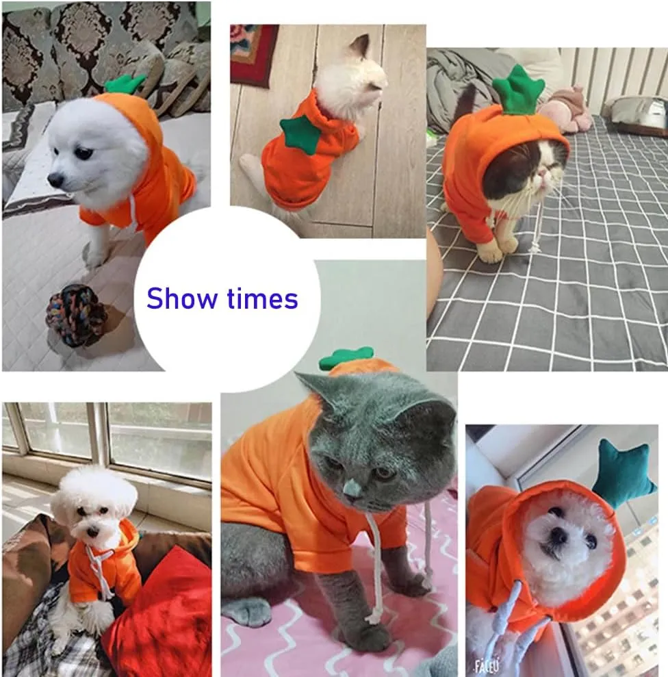 ANIAC Funny Pet Clothes for Small Dog Cat Carrot Hoodies Warm Sweatshirt Coat With Fruit Hood Fall Puppy Cat Sweater Halloween Easter Costume (Orange, Large)
