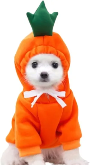 ANIAC Funny Pet Clothes for Small Dog Cat Carrot Hoodies Warm Sweatshirt Coat With Fruit Hood Fall Puppy Cat Sweater Halloween Easter Costume (Orange, Large)