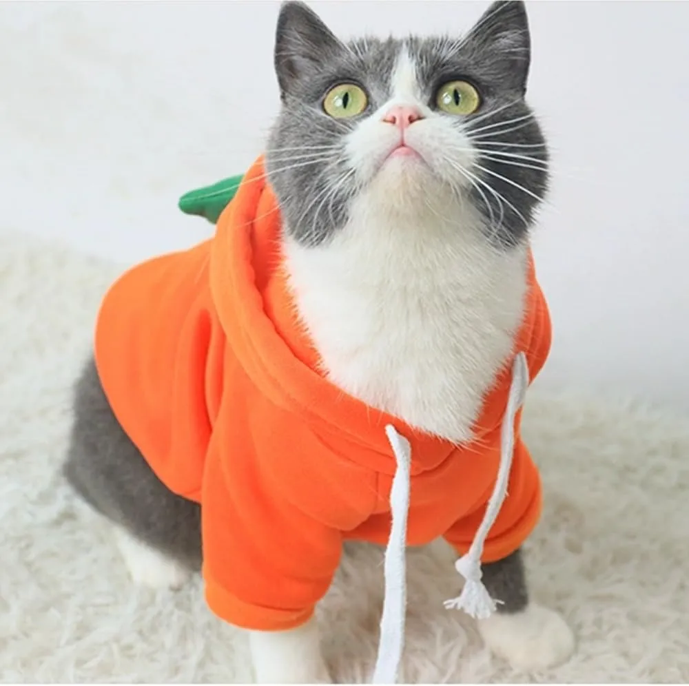 ANIAC Funny Pet Clothes for Small Dog Cat Carrot Hoodies Warm Sweatshirt Coat With Fruit Hood Fall Puppy Cat Sweater Halloween Easter Costume (Orange, Large)