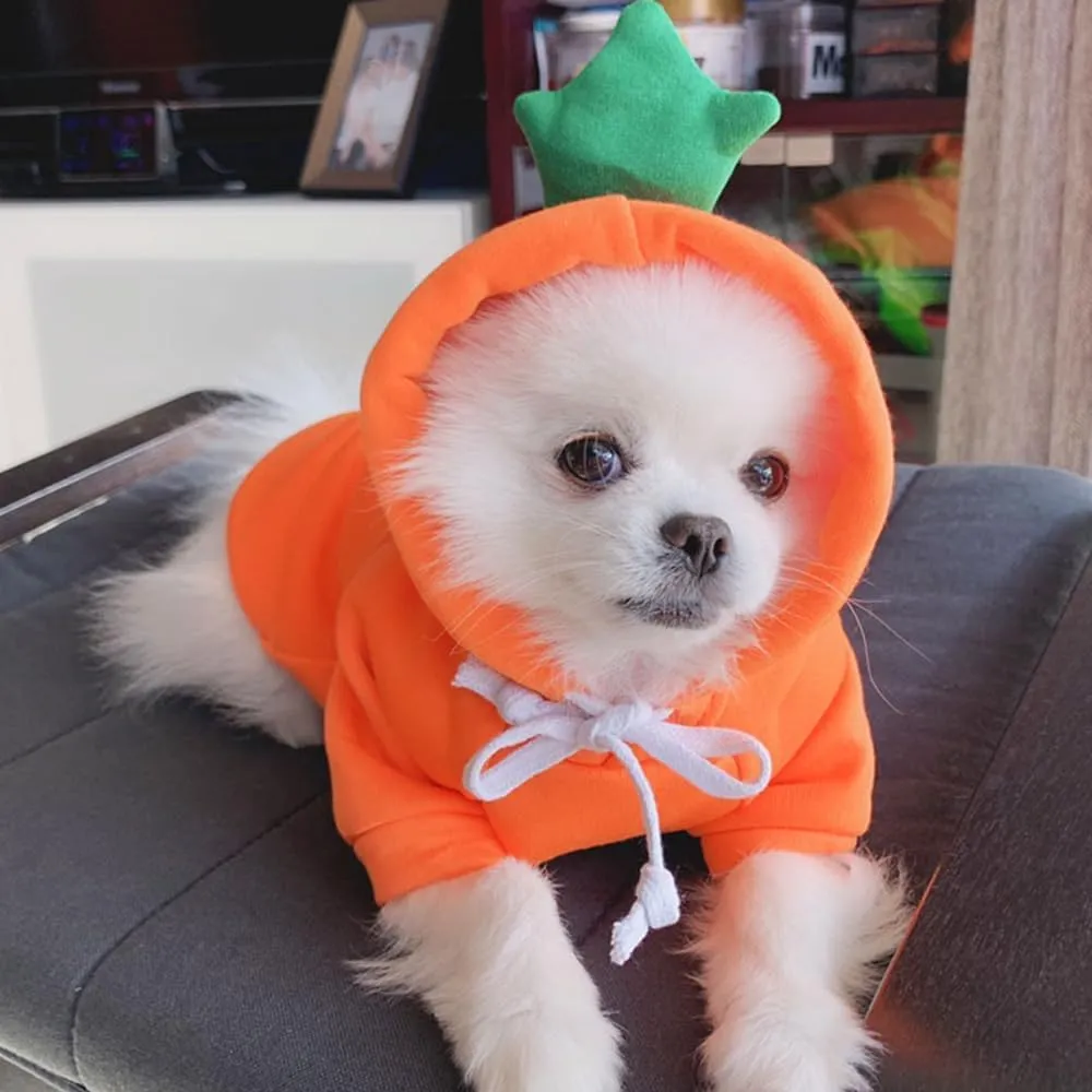 ANIAC Funny Pet Clothes for Small Dog Cat Carrot Hoodies Warm Sweatshirt Coat With Fruit Hood Fall Puppy Cat Sweater Halloween Easter Costume (Orange, Large)