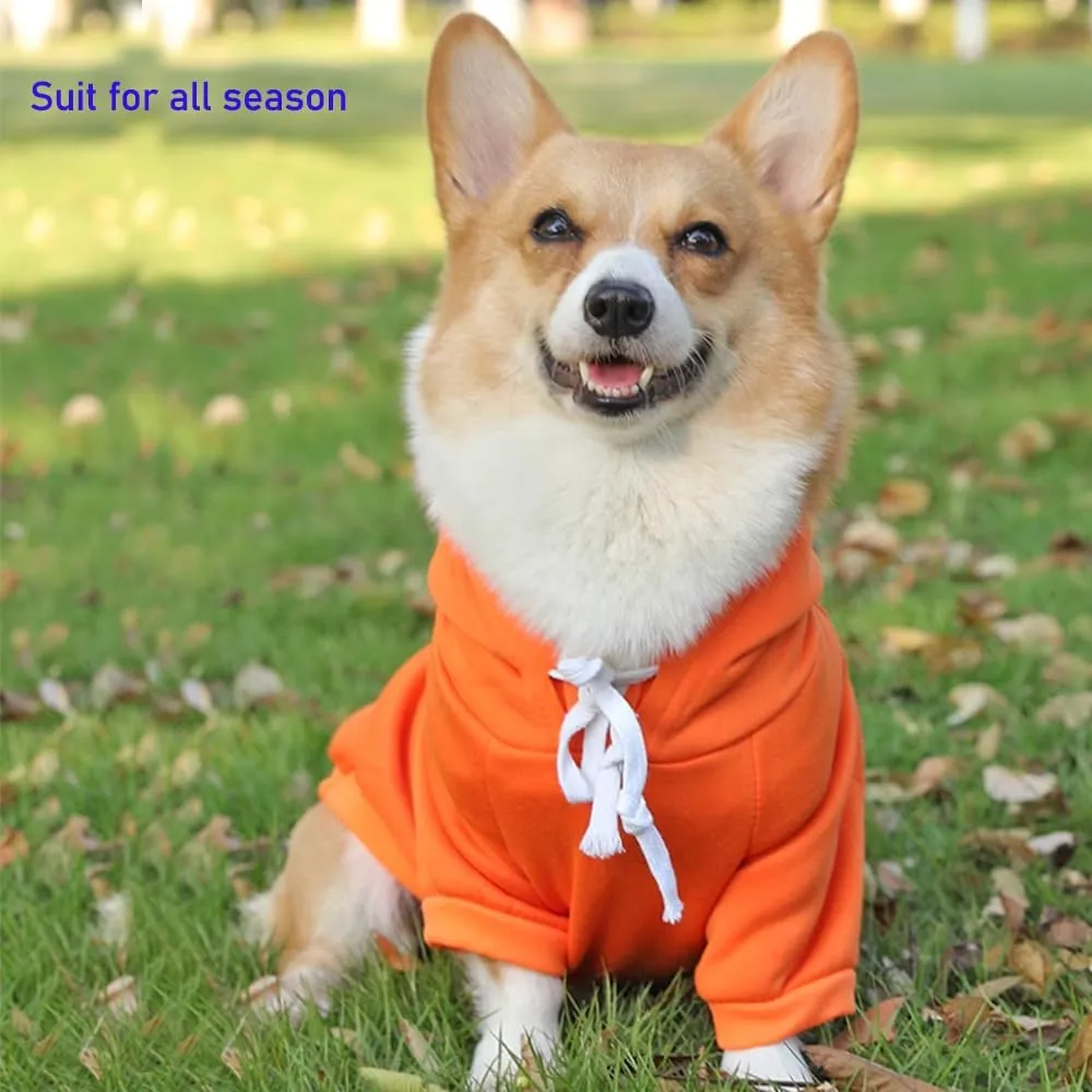 ANIAC Funny Pet Clothes for Small Dog Cat Carrot Hoodies Warm Sweatshirt Coat With Fruit Hood Fall Puppy Cat Sweater Halloween Easter Costume (Orange, Large)