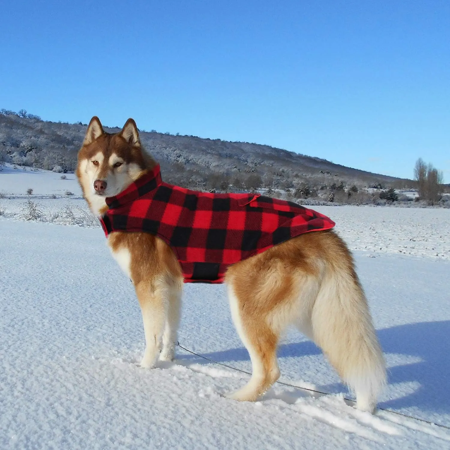 ASENKU Dog Coat, Dog Fleece Jacket with Plaid Reversible, Waterproof Windproof Cold Weather Vest, Pet Apparel for Small Medium Large Dogs