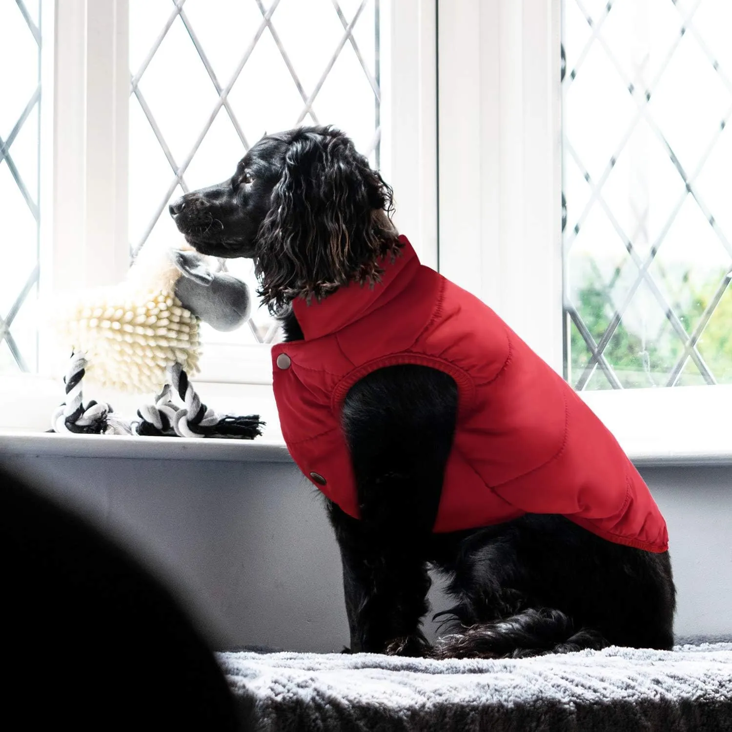 ASENKU Windproof Winter Jacket Waterproof Coat Warm Vest Cold Weather Pet Apparel With 2 Layers Fleece Lined for Small Medium Large Dogs (M, Red)