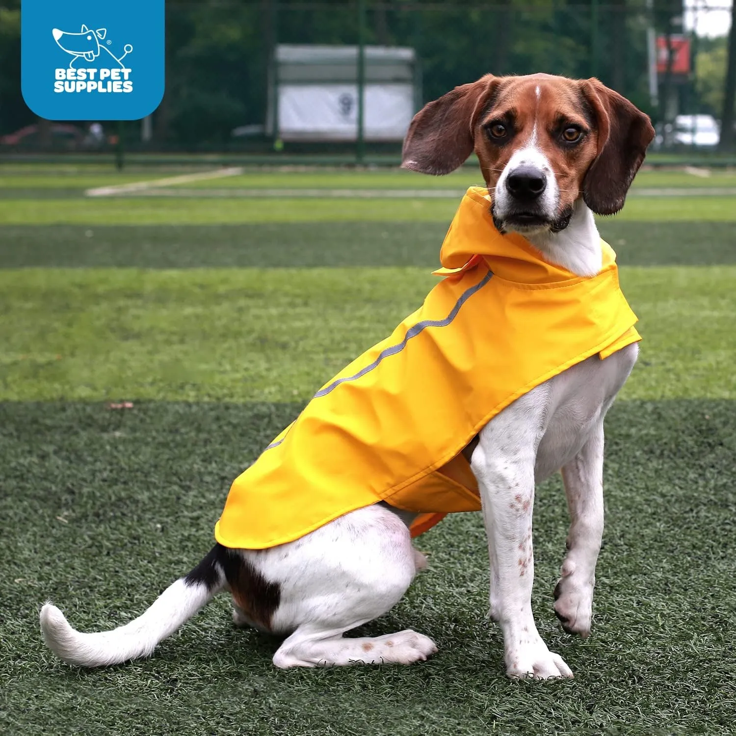 Best Pet Supplies - Voyager Waterproof Dogs Rain Poncho, Yellow, Medium, "chest: 19"" ~ 25""" (253-YW-M)