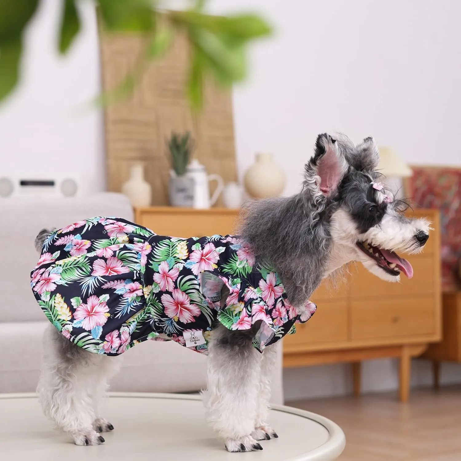 CuteBone Dog Dress Princess Puppy Birthday Dresses with Flutter Sleeves Cat Clothes Outfit for Small Dogs Girl Pet Apparel FX05XS