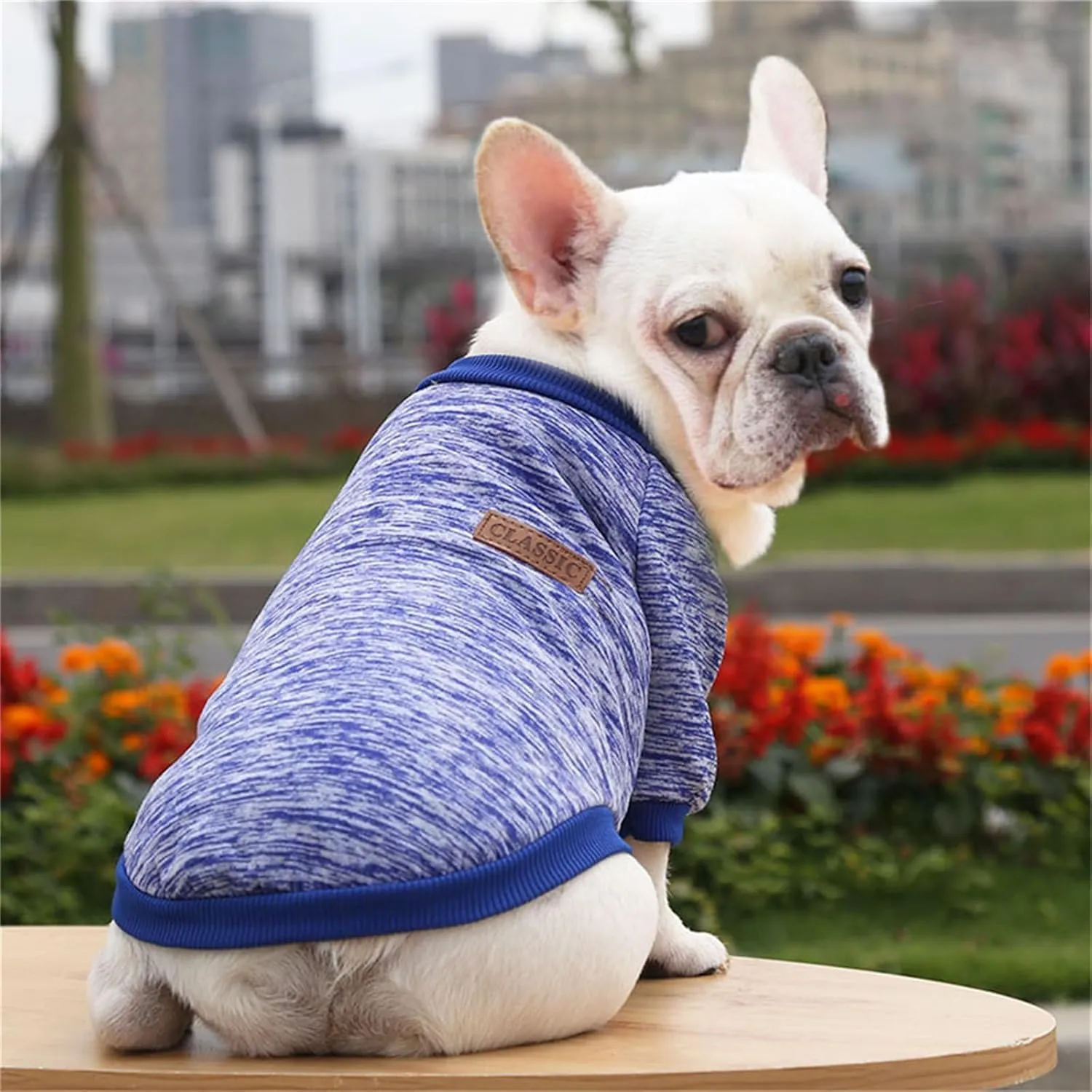 Dog Sweaters for Small/Medium/Large Dogs Stylish Cat Sweater Warm Pet Apparel for Spring/Fall/Winter(Dark Blue, L)