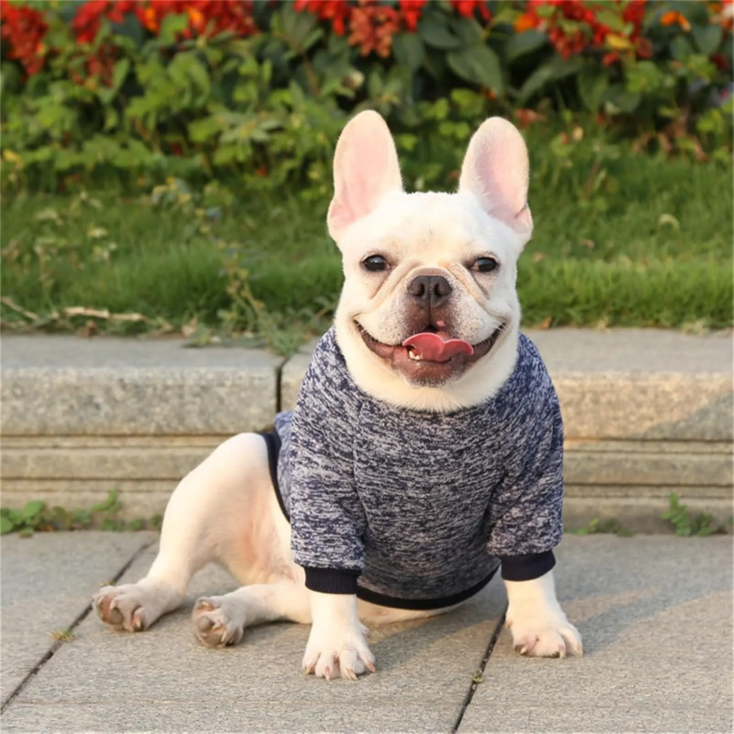 Dog Sweaters for Small/Medium/Large Dogs Stylish Cat Sweater Warm Pet Apparel for Spring/Fall/Winter(Navy Blue, L)