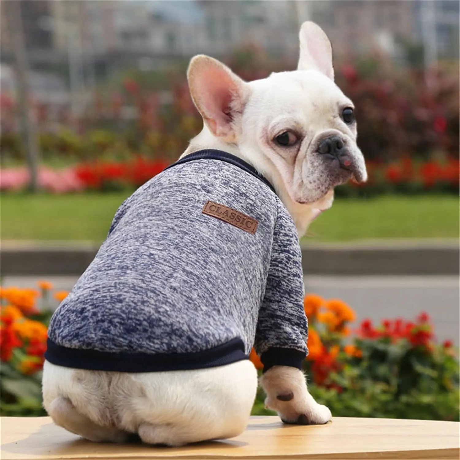 Dog Sweaters for Small/Medium/Large Dogs Stylish Cat Sweater Warm Pet Apparel for Spring/Fall/Winter(Navy Blue, L)