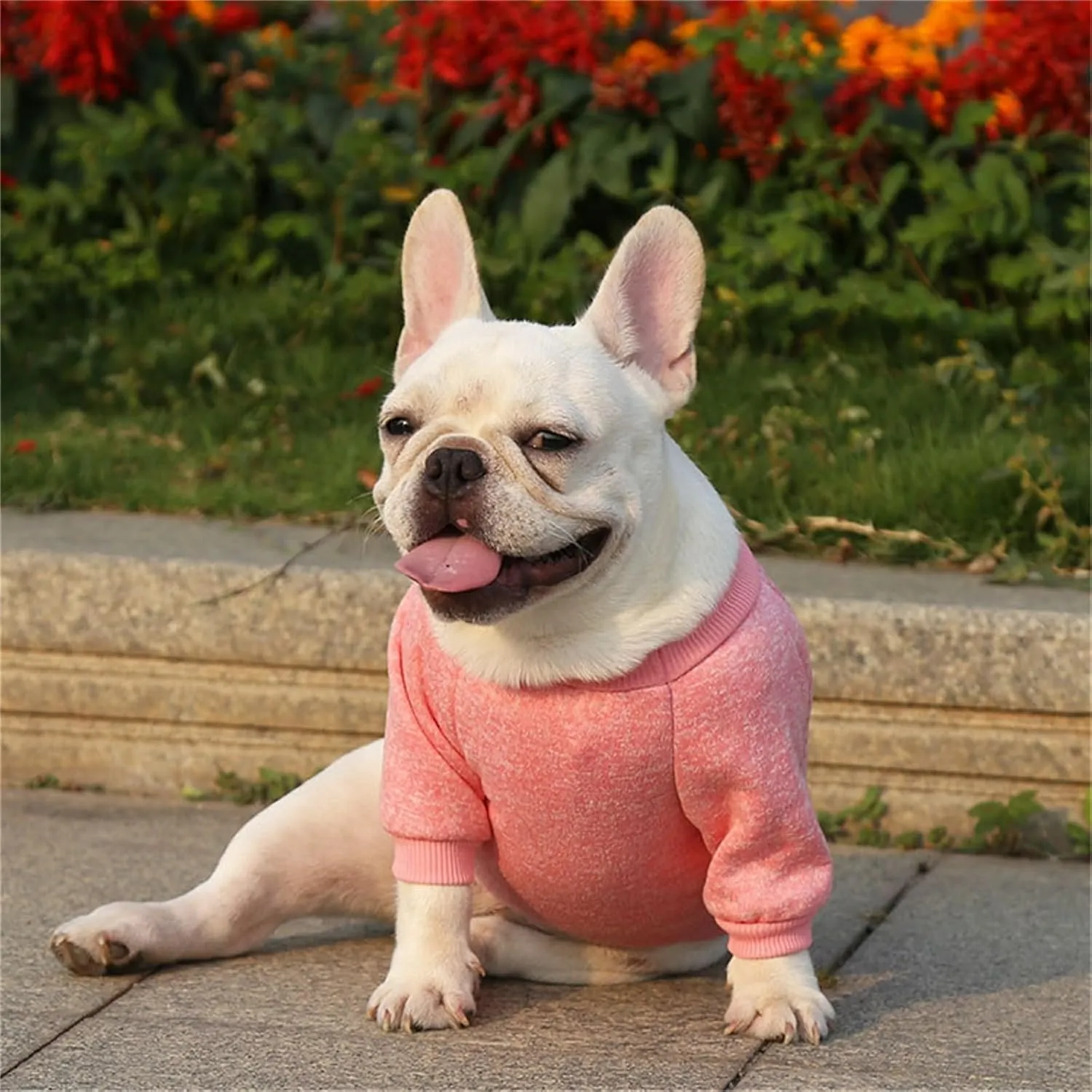 Dog Sweaters for Small/Medium/Large Dogs Stylish Cat Sweater Warm Pet Apparel for Spring/Fall/Winter(Pink, L)