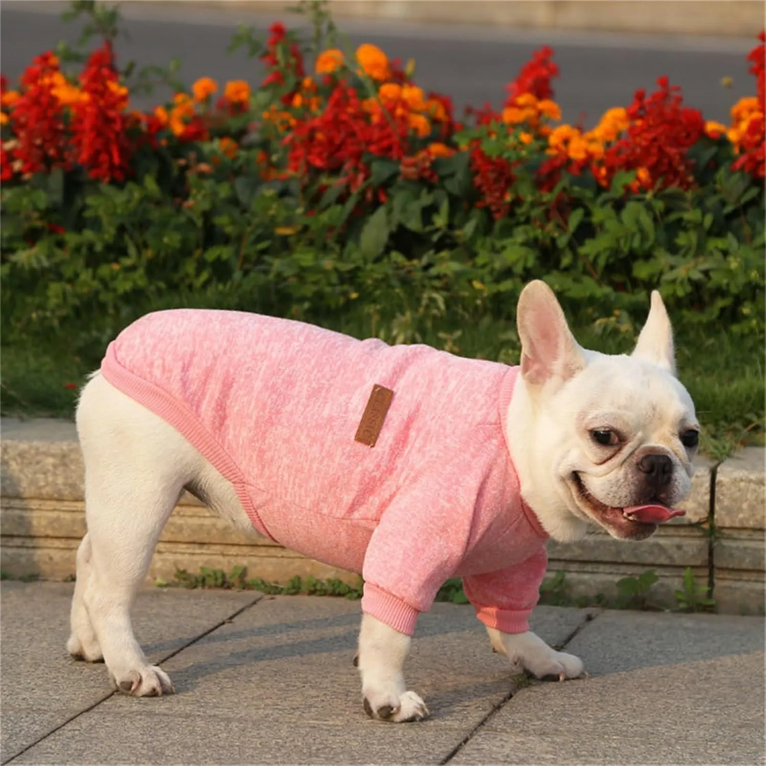 Dog Sweaters for Small/Medium/Large Dogs Stylish Cat Sweater Warm Pet Apparel for Spring/Fall/Winter(Pink, L)