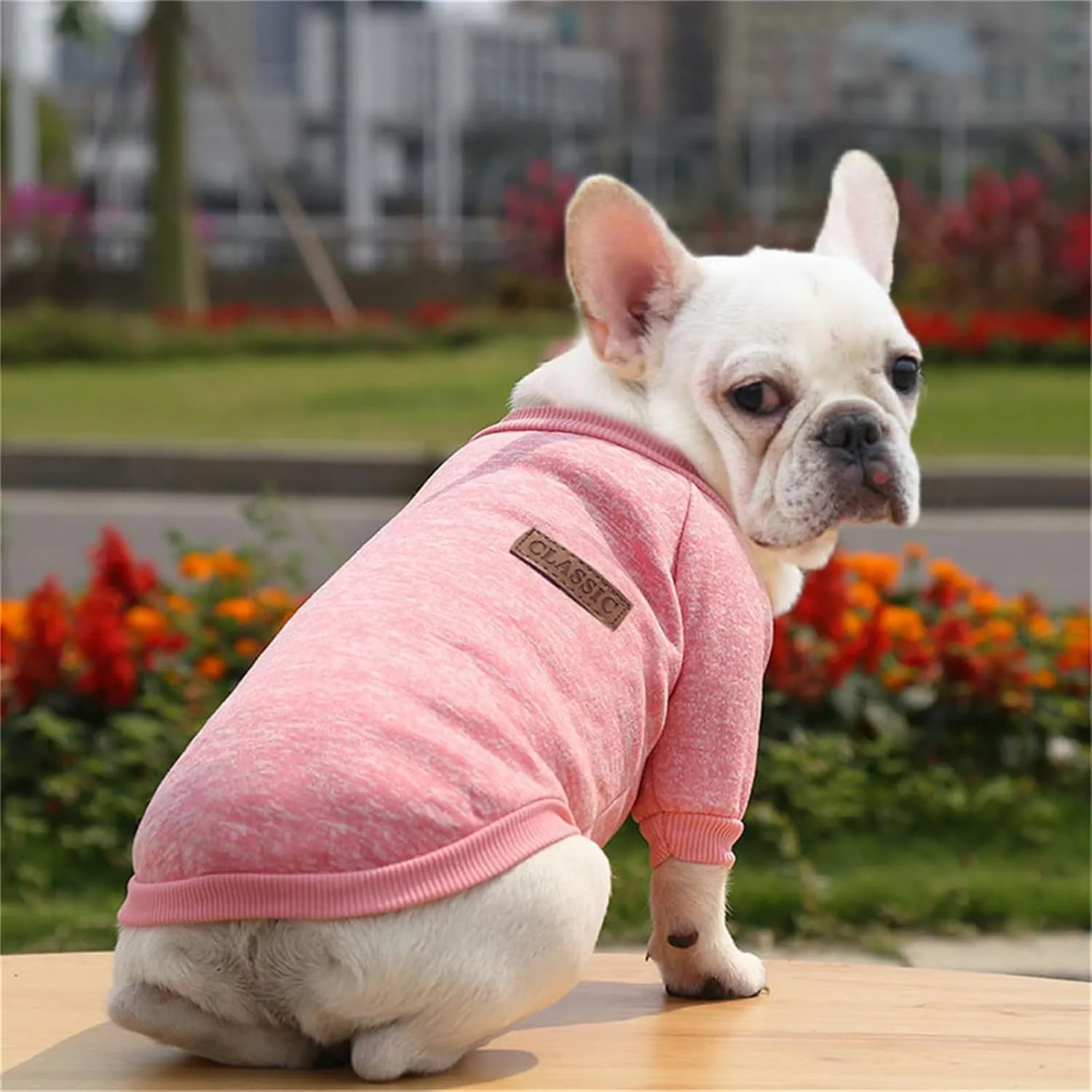 Dog Sweaters for Small/Medium/Large Dogs Stylish Cat Sweater Warm Pet Apparel for Spring/Fall/Winter(Pink, L)