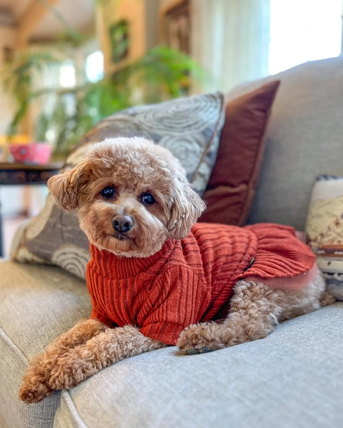 Fitwarm Knitted Dog Tulle Sweater Dress, Dog Winter Clothes for Small Dogs Girl, Cat Apparel, Orange, XS