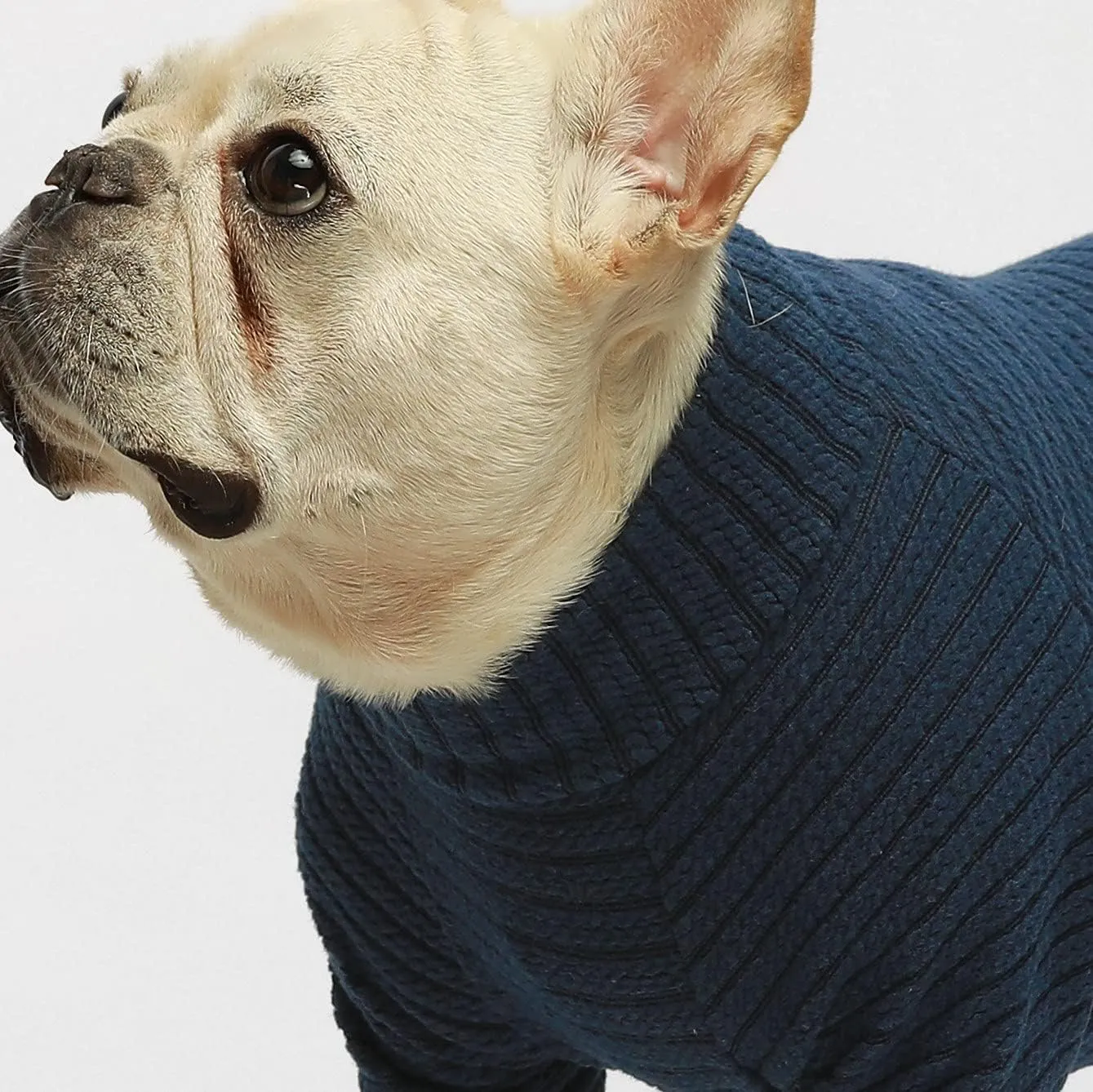 Fitwarm Turtleneck Knitted Dog Sweater Puppy Pajamas Thermal Doggie Winter Clothes Knitwear Pet Coats Cat Apparel Blue Large