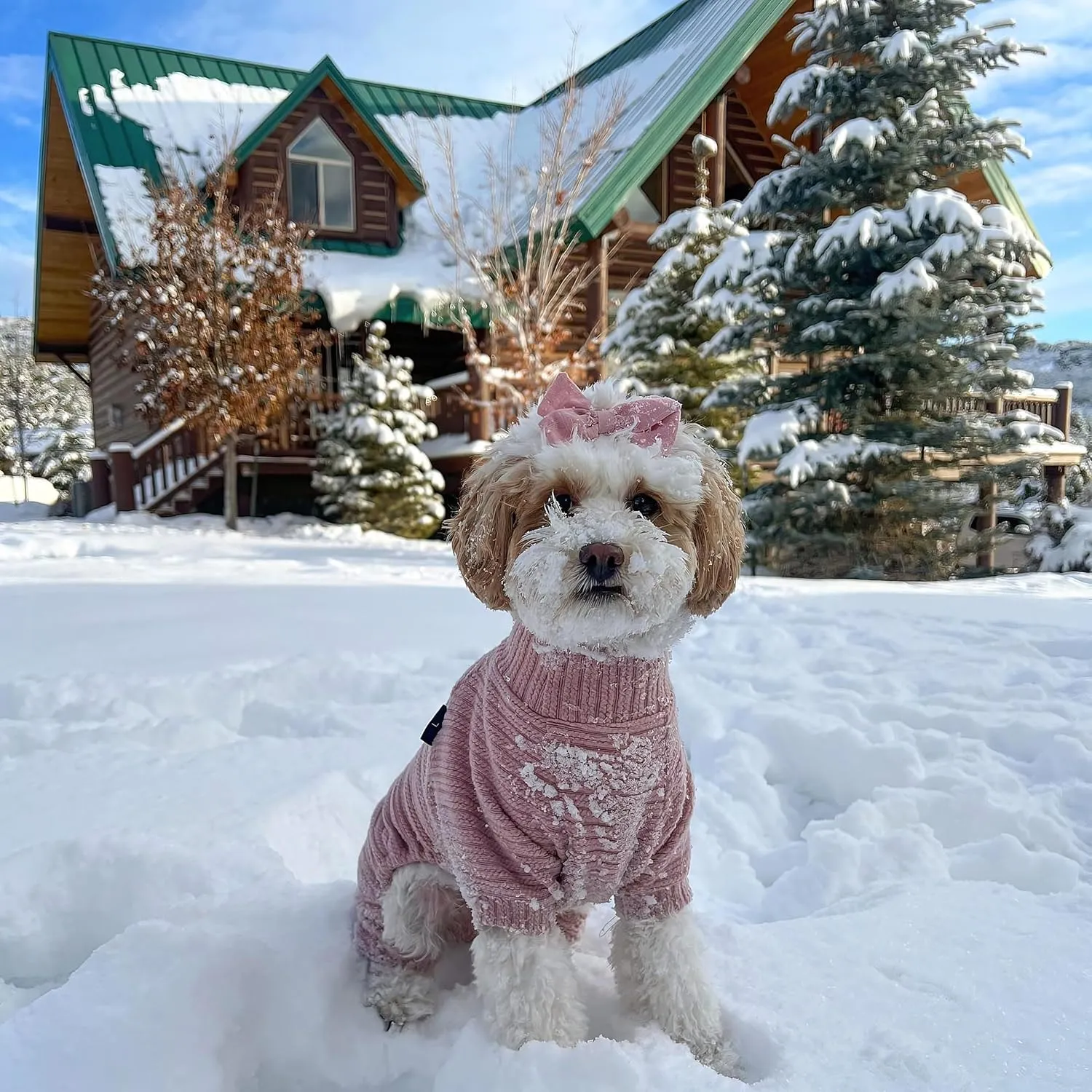 Fitwarm Turtleneck Knitted Dog Sweater Puppy Pajamas Thermal Doggie Winter Clothes Knitwear Pet Coats Cat Apparel Pink X-Large