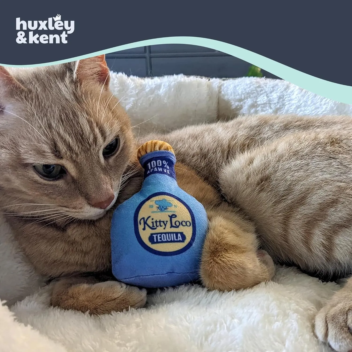 Huxley & Kent Plush Cat Toy - Kitty Loco Tequila - Nappy Hour Strong Catnip Filled - Plush Interactive Kitten and Cat Toy with Catnip and Crinkle - Kittybelles
