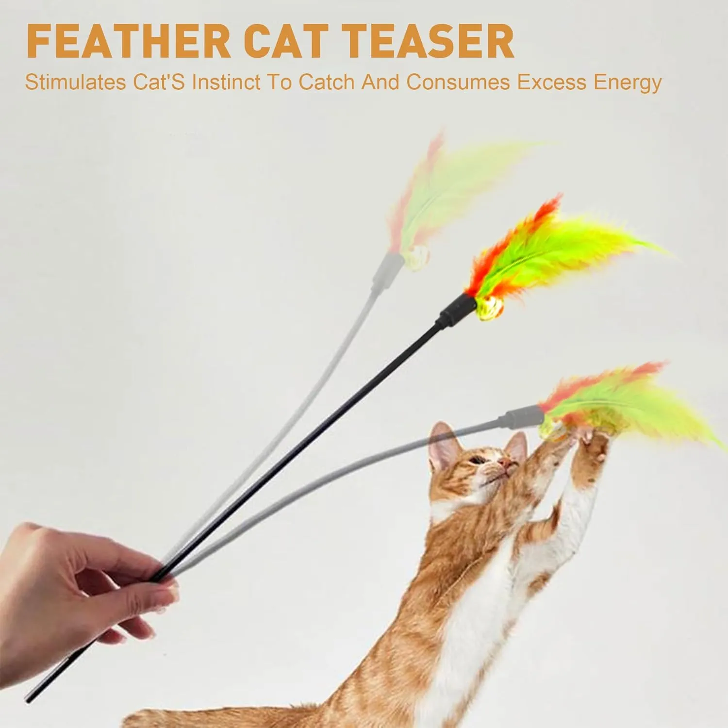 Interactive Cat Toys Feather Toys Cat Toys Wand Cat Teaser Stick Storage Holder for Indoor Cats to Chase and Exercise (15PCS)