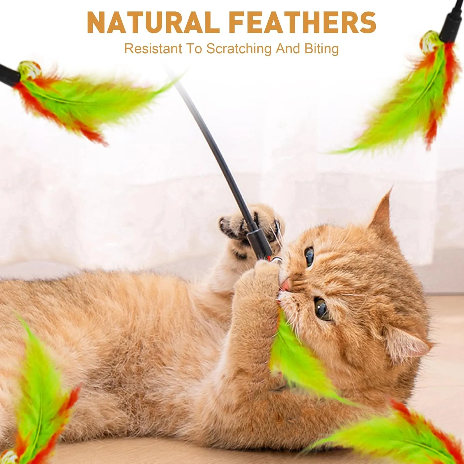 Interactive Cat Toys Feather Toys Cat Toys Wand Cat Teaser Stick Storage Holder for Indoor Cats to Chase and Exercise (15PCS)