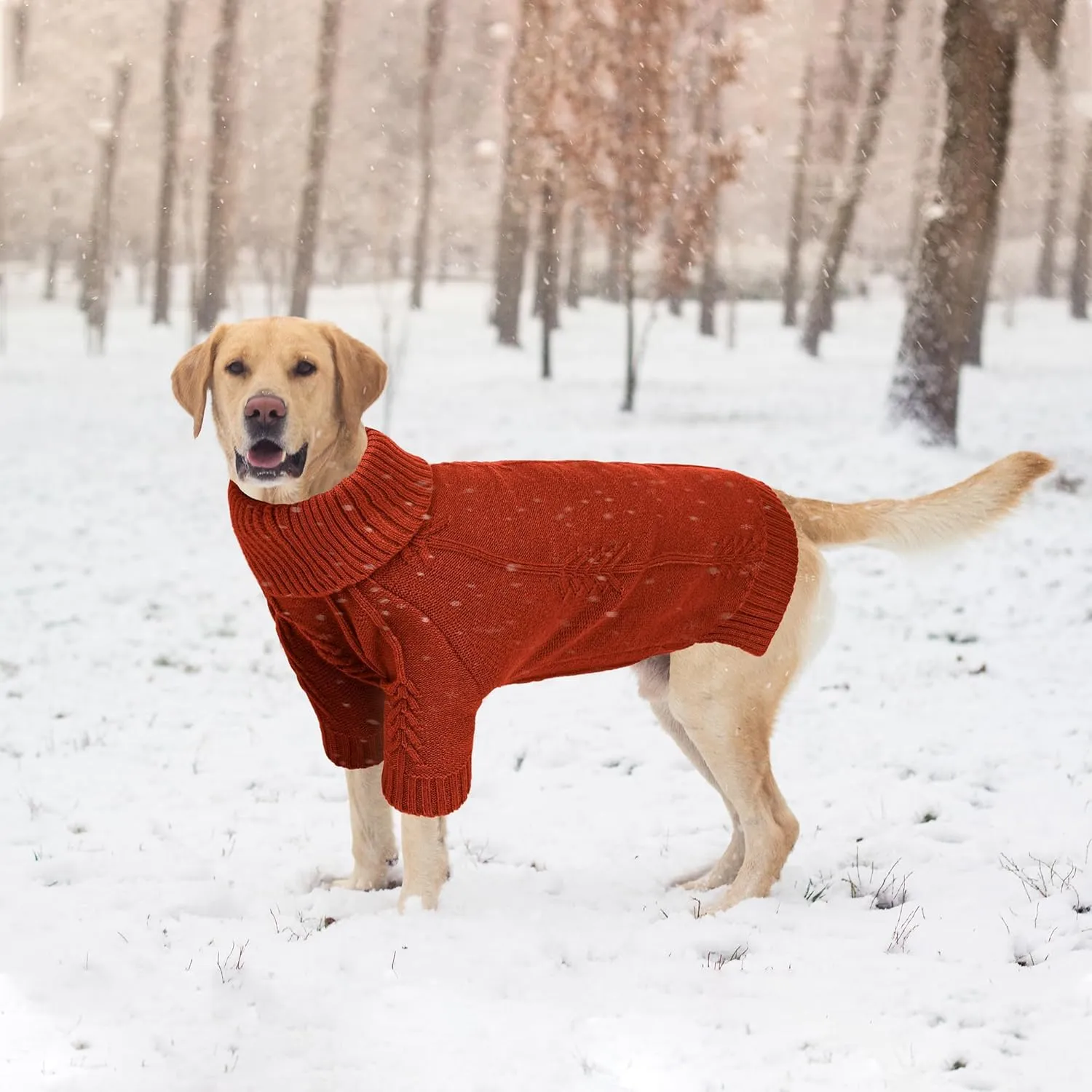 NACOCO Dog Knitted Sweater - Pet Classic Sweatshirt Cat Clothes Soft Thickening Winter Warm Knitwear Outfits Apparel for Small Medium Large Dog (Red, S)