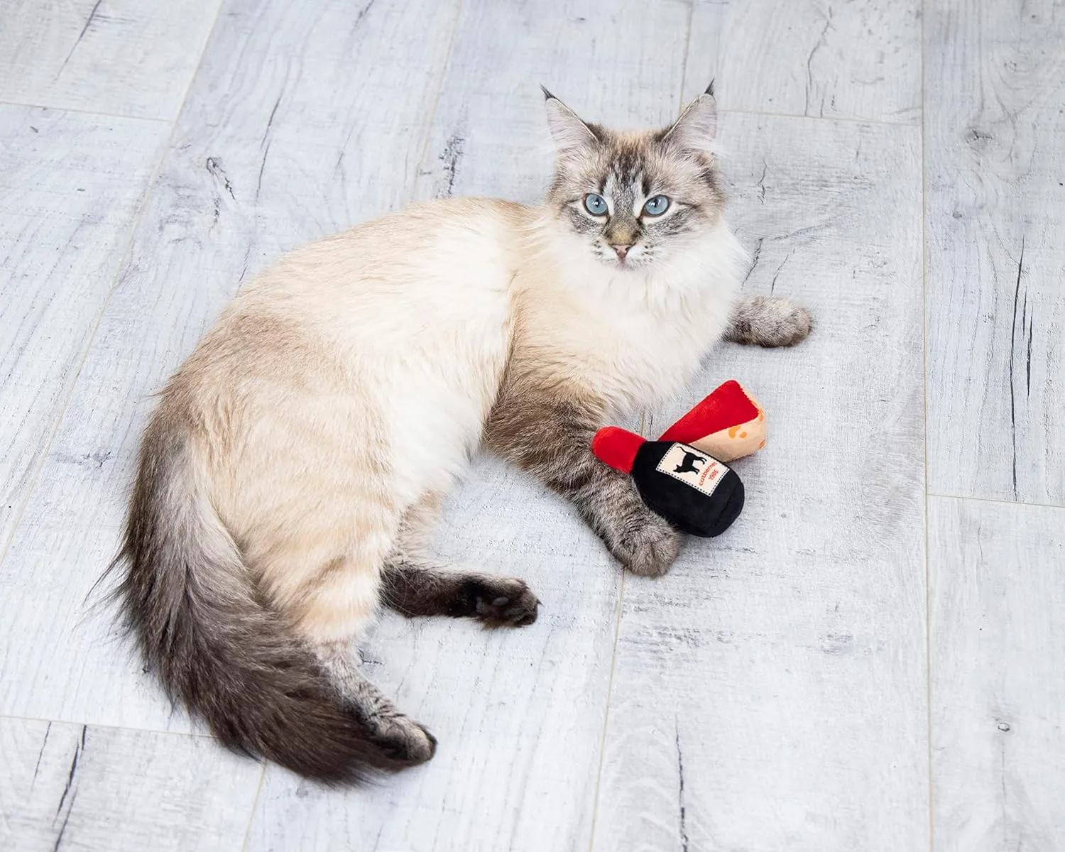 Pearhead Pet Cheese and Wine Plush, Crinkle, and Catnip Cat Toys, Set of 2