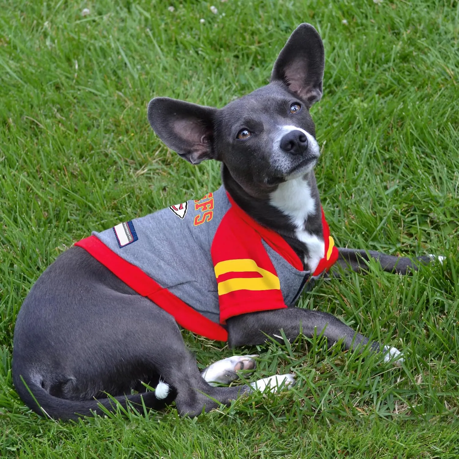 Pets First NFL Kansas City Chiefs Hoodie for Dogs & Cats. | NFL Football Licensed Dog Hoody Tee Shirt, Small| Sports Hoody T-Shirt for Pets | Licensed Sporty Dog Shirt
