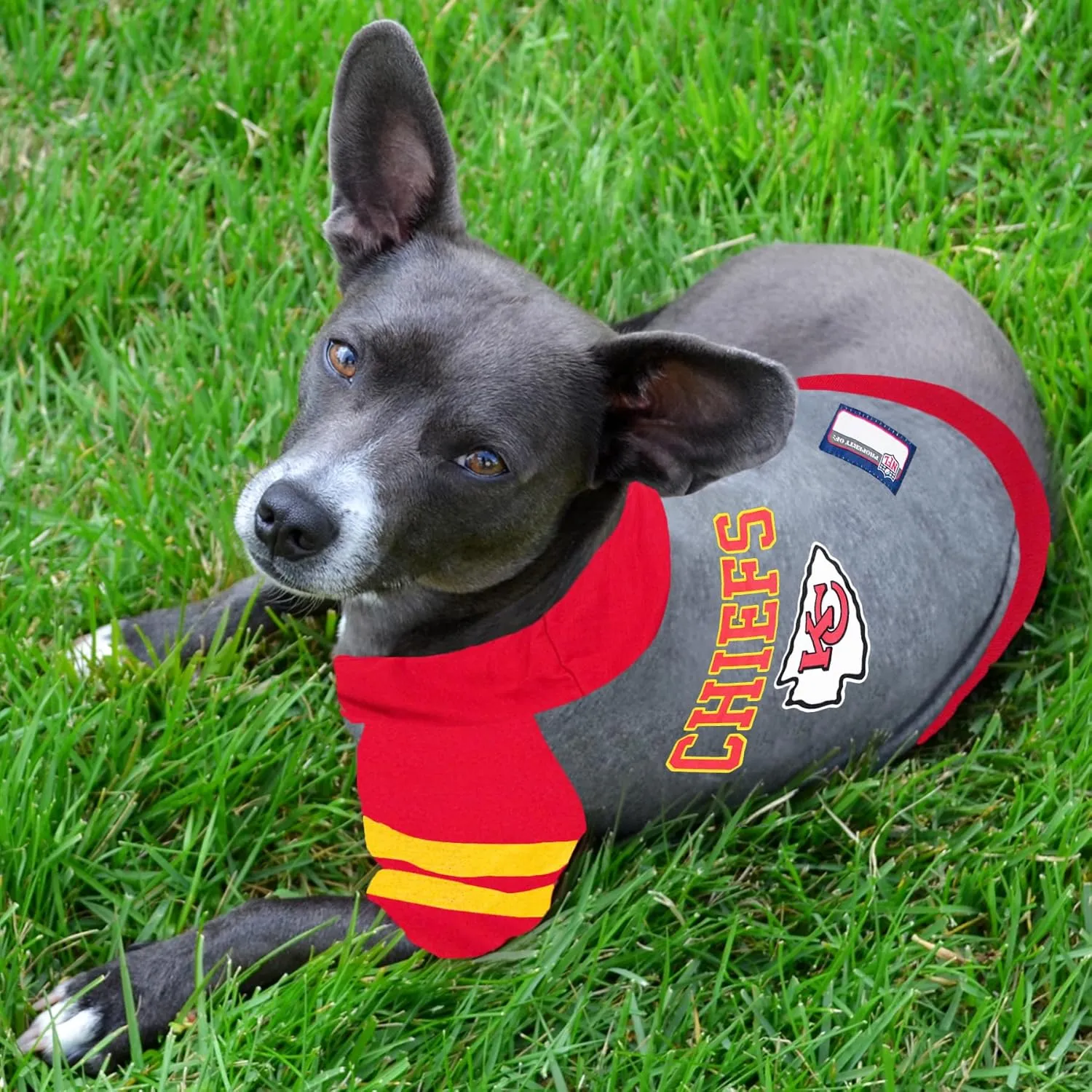 Pets First NFL Kansas City Chiefs Hoodie for Dogs & Cats. | NFL Football Licensed Dog Hoody Tee Shirt, Small| Sports Hoody T-Shirt for Pets | Licensed Sporty Dog Shirt