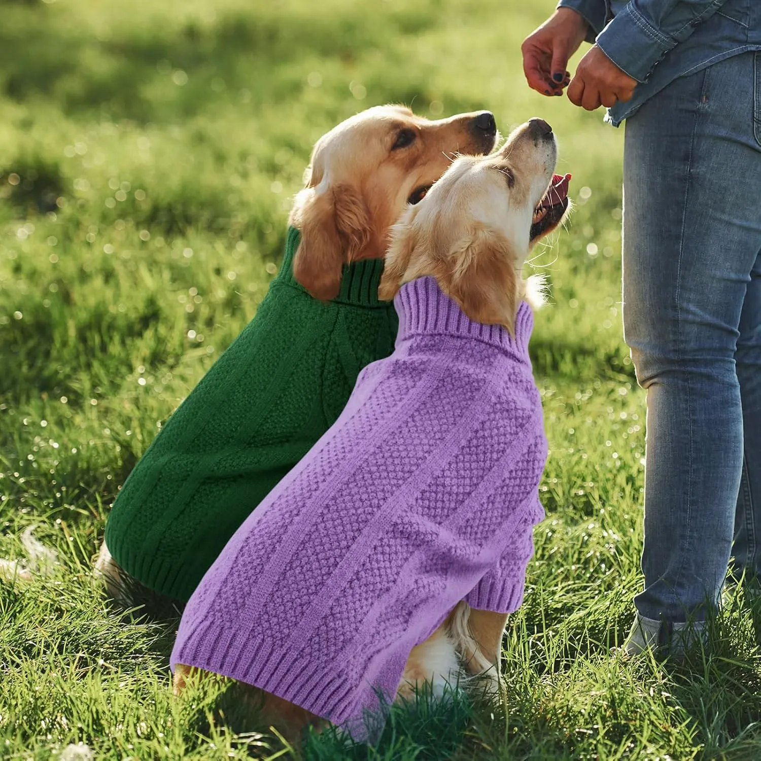 Queenmore Small Dog Sweater, Xmas Turtleneck Knitted Pullover for Dogs, Cats, Girls, Boys - Cold Weather Pet Apparel (Purple, S)