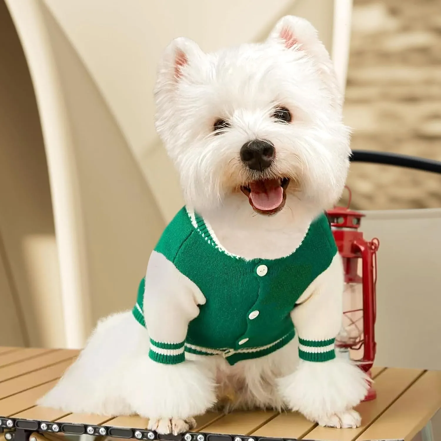 Small Puppy Sweater, Warm Pet Sweater, Cute Knitted Classic Dog Sweaters for Small Dogs, Dog Sweatshirt Clothes Coat Apparel (L)