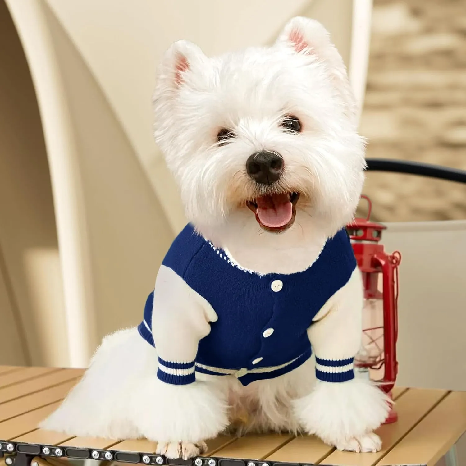 Small Puppy Sweater, Warm Pet Sweater, Cute Knitted Classic Dog Sweaters for Small Dogs, Dog Sweatshirt Clothes Coat Apparel (L)