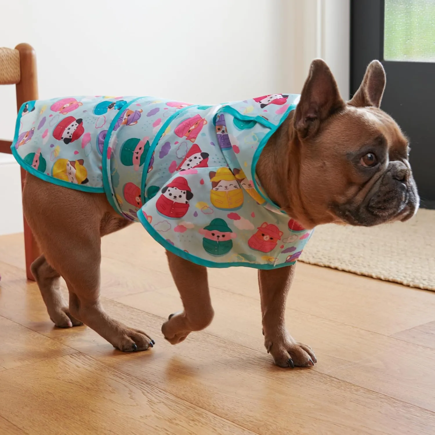 Squishmallows Original Its Raining Squish Pet Raincoat (Small) - Official Jazwares Pets Apparel for Dogs
