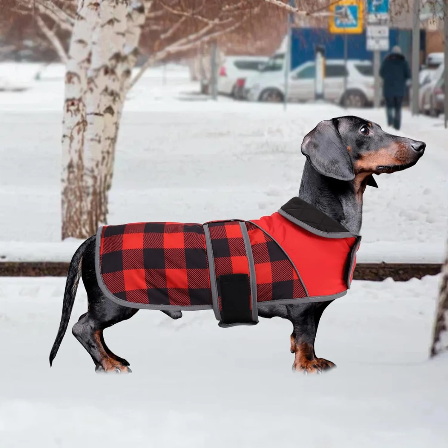 Warm Quilted Dachshund Winter Coat-Red Waterproof Dog Jacket with Outdoor Dog Apparel,Reflective Piping,Adjustable Straps,Cozy Outdoor Apparel for Medium to Large Dogs-Warm and Windproof Pet Clothing