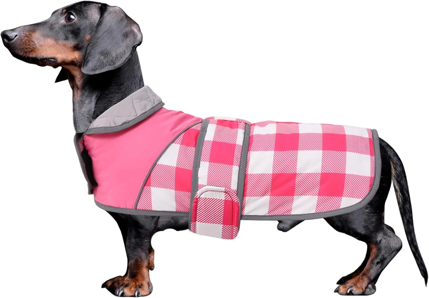 Warm Quilted Dachshund Winter Coat-Red Waterproof Dog Jacket with Outdoor Dog Apparel,Reflective Piping,Adjustable Straps,Cozy Outdoor Apparel for Medium to Large Dogs-Warm and Windproof Pet Clothing