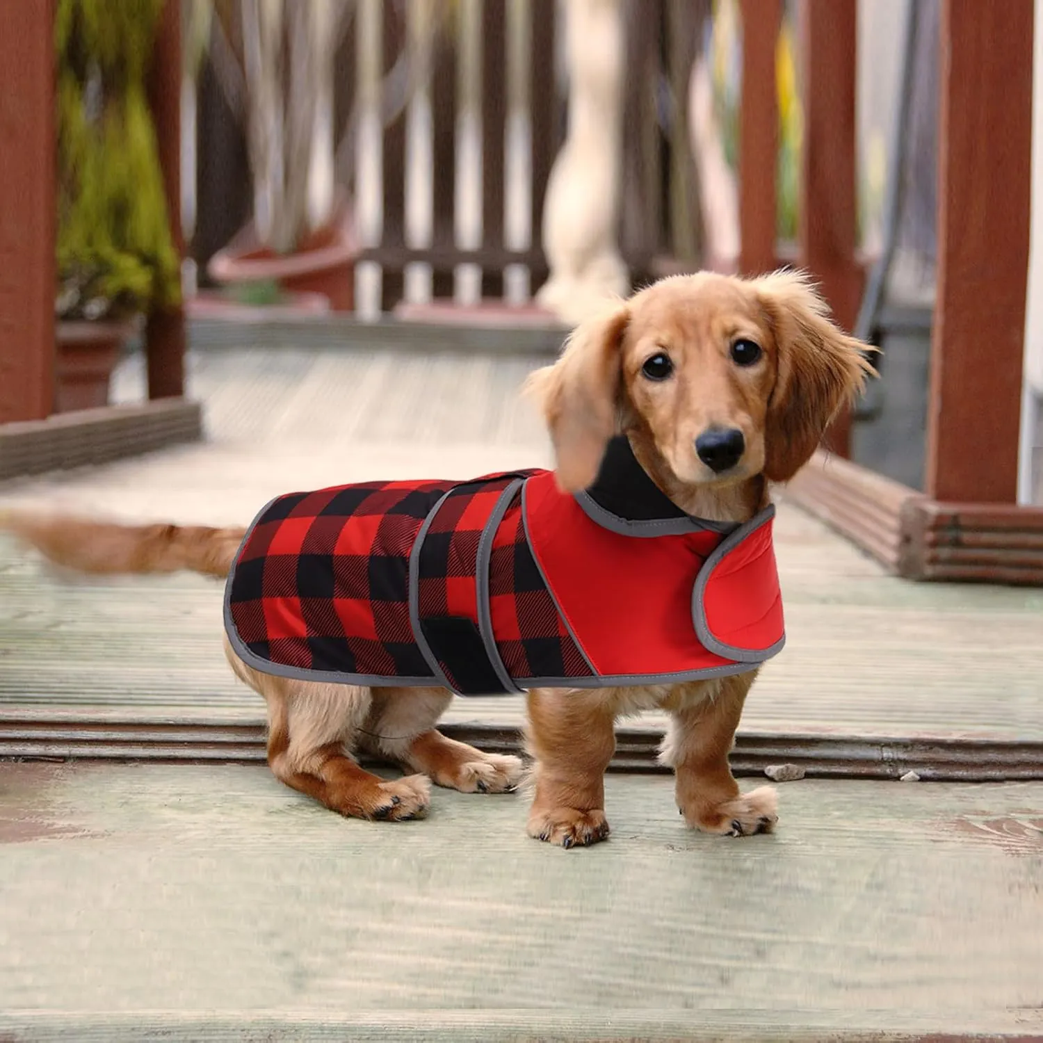 Warm Quilted Dachshund Winter Coat-Red Waterproof Dog Jacket with Outdoor Dog Apparel,Reflective Piping,Adjustable Straps,Cozy Outdoor Apparel for Medium to Large Dogs-Warm and Windproof Pet Clothing