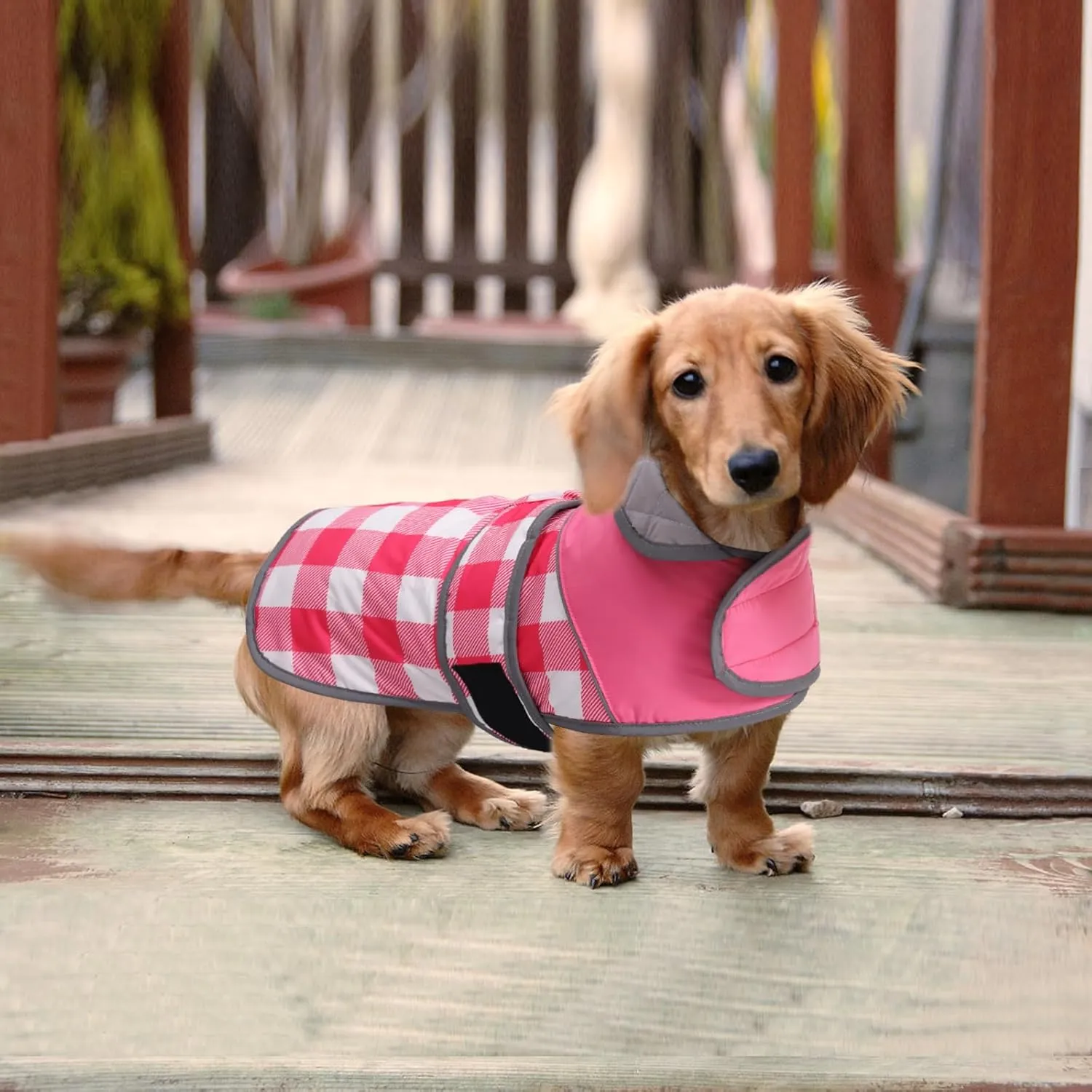 Warm Quilted Dachshund Winter Coat-Red Waterproof Dog Jacket with Outdoor Dog Apparel,Reflective Piping,Adjustable Straps,Cozy Outdoor Apparel for Medium to Large Dogs-Warm and Windproof Pet Clothing