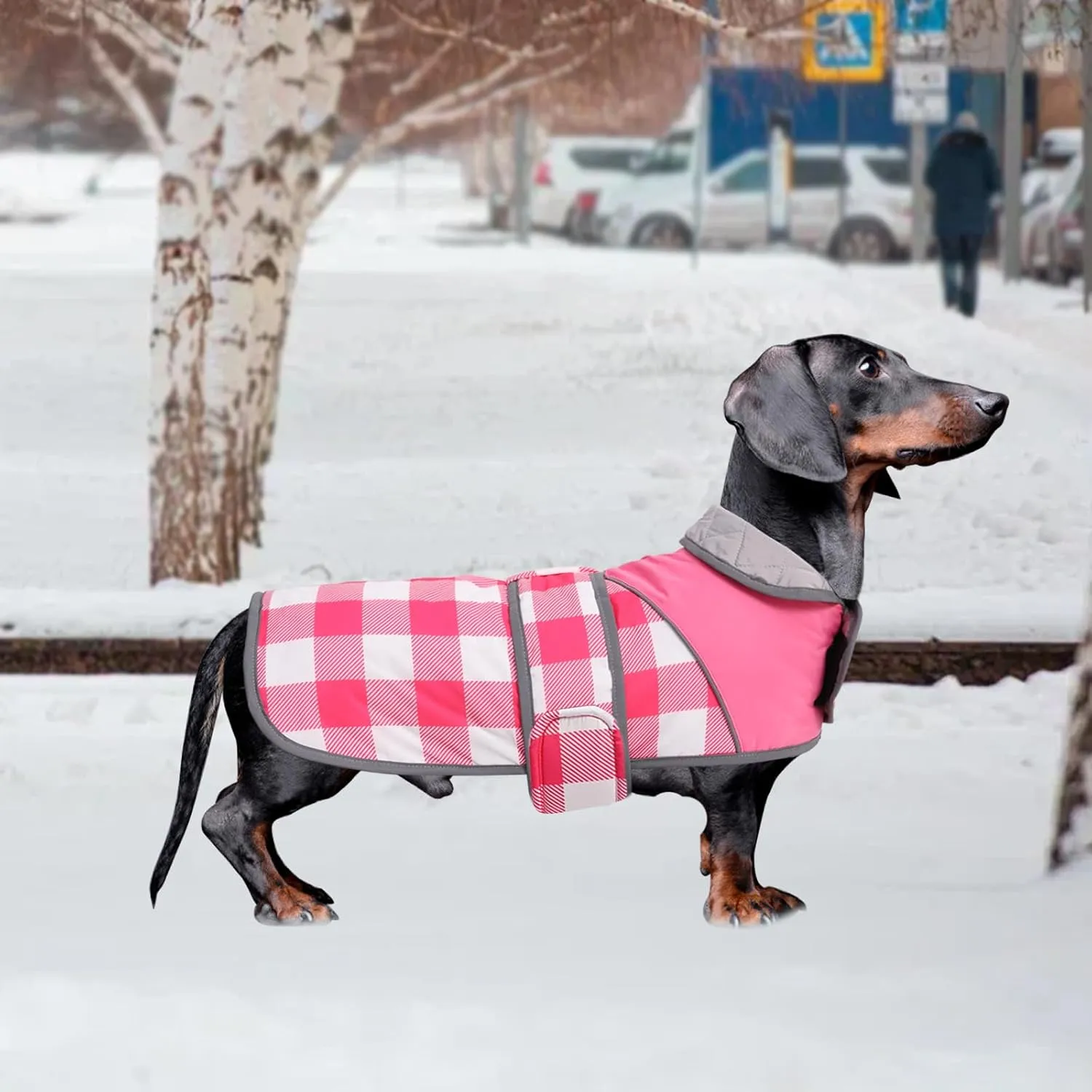 Warm Quilted Dachshund Winter Coat-Red Waterproof Dog Jacket with Outdoor Dog Apparel,Reflective Piping,Adjustable Straps,Cozy Outdoor Apparel for Medium to Large Dogs-Warm and Windproof Pet Clothing